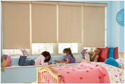 Roller Shades