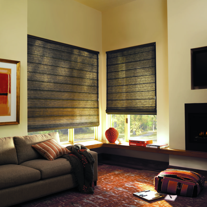 Hunter Douglas Design Studio™ Roman Shades - Austintatious Blinds And ...