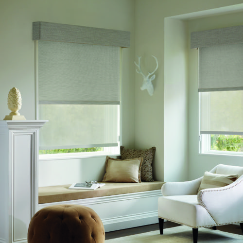 Hunter Douglas Designer Roller Shades - Austintatious Blinds And Shutters