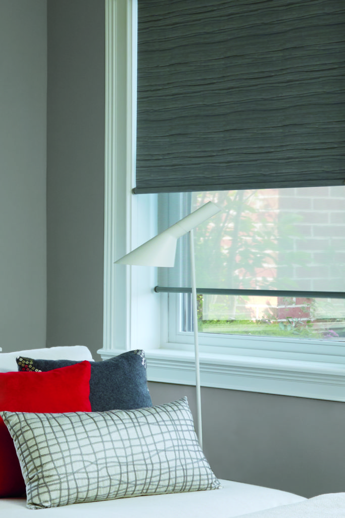 Hunter Douglas Designer Roller Shade Austintatious Blinds and Shutters