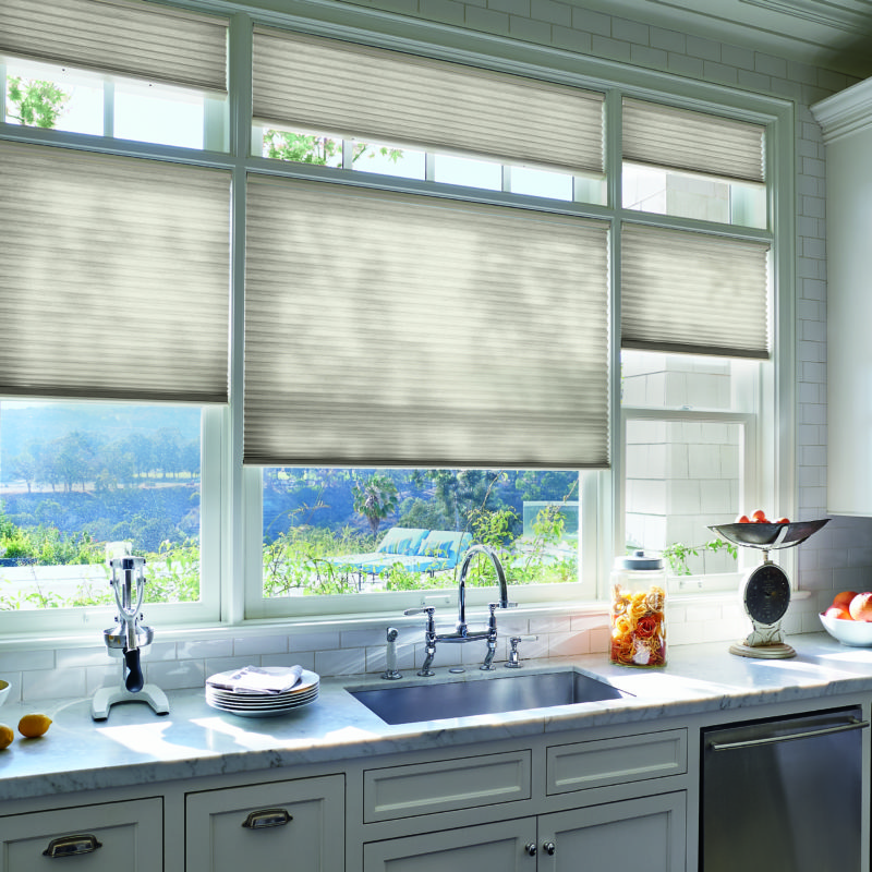 Hunter Douglas Duette® Shades Austintatious Blinds and Shutters