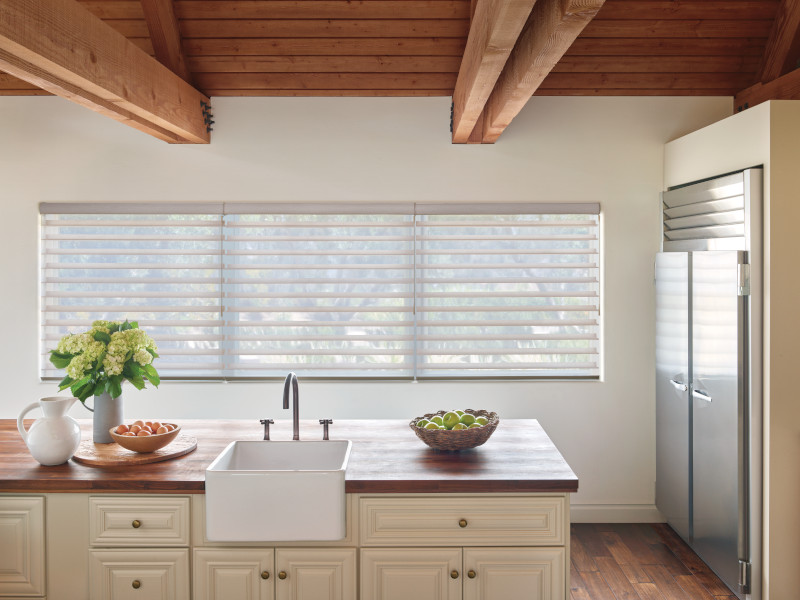 Hunter Douglas Shades