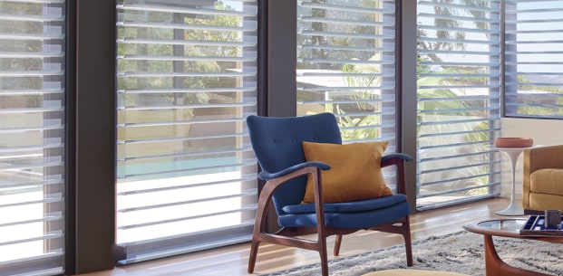 silhouette Hunter Douglas Promotion
