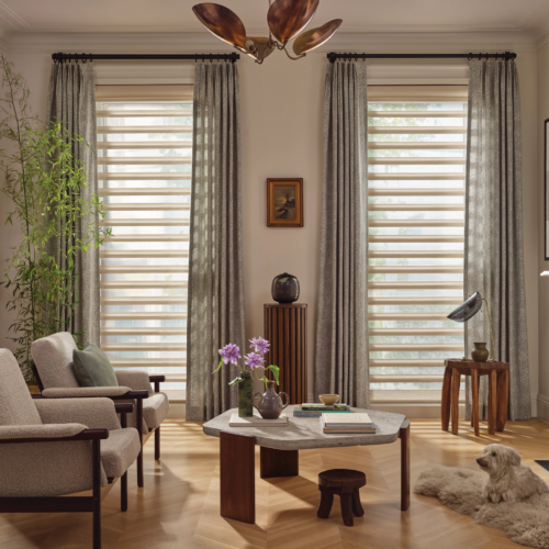 What’s Trending in Window Treatments: Elevate Your Austin Home with Style and Innovation