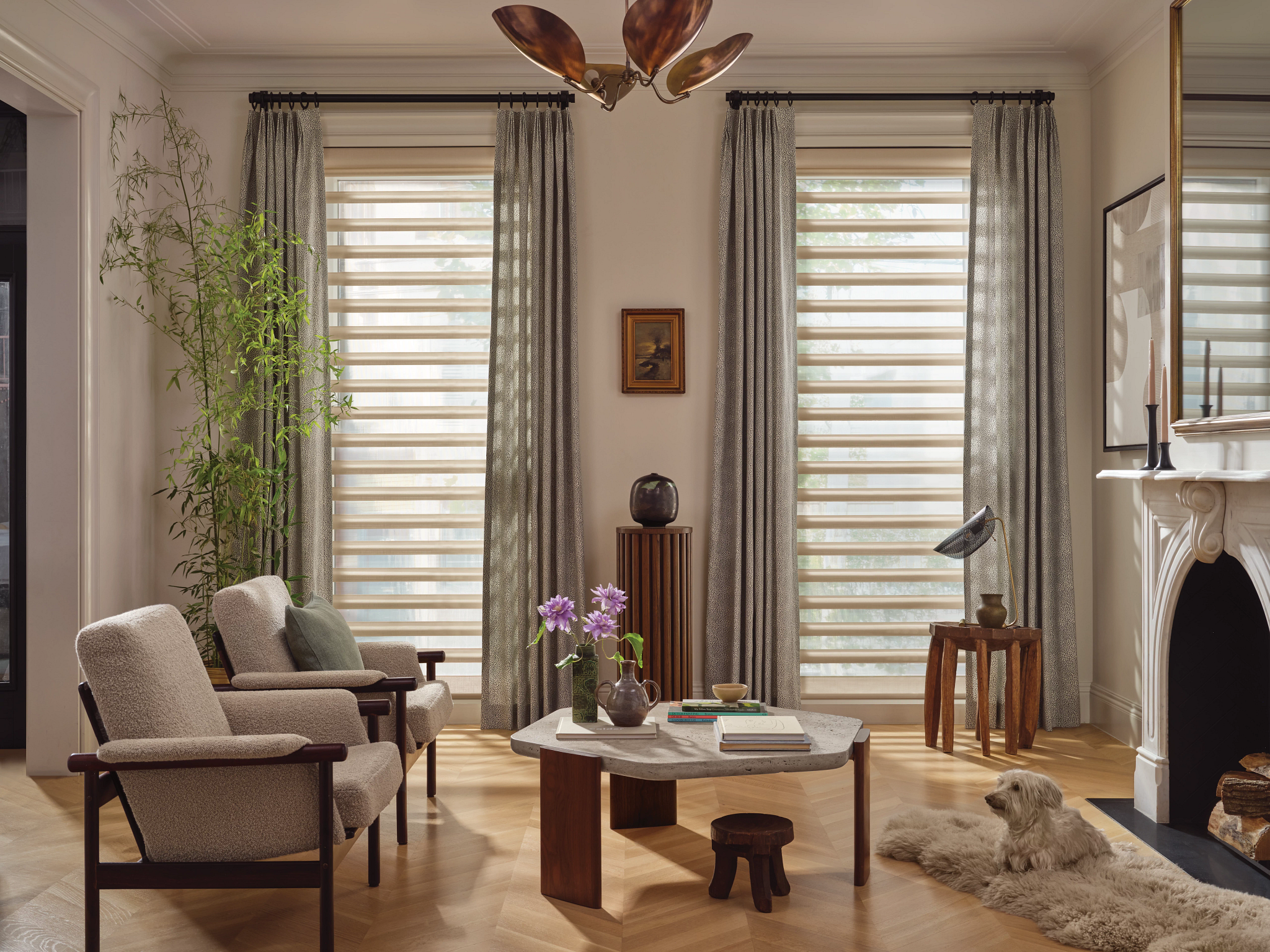 Motorized Shades For Windows & More Trends - Austintatious Blinds
